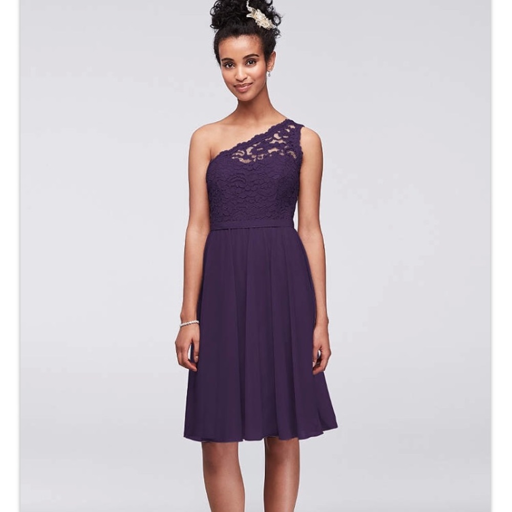 David’s Bridal Plum Bridesmaid Dress